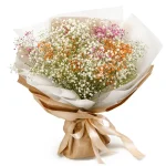 Гипсофилы микс